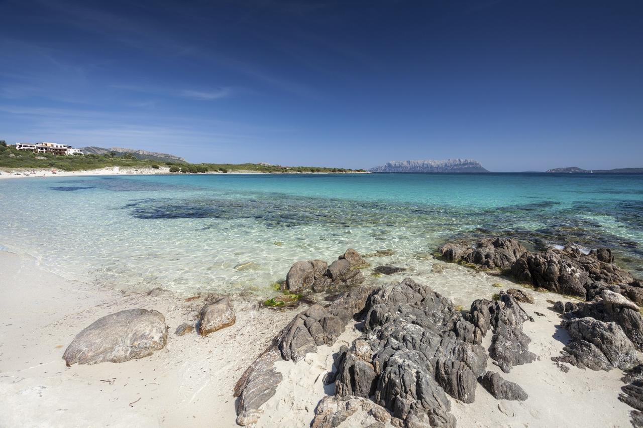 Giglio Apartment Vista Mare E Parcheggio Privato Porto Rotondo Eksteriør billede